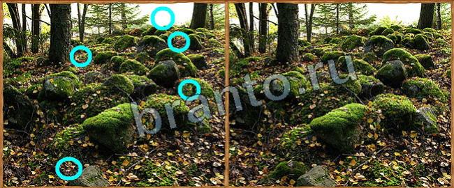 Клуб искателей игра ответы в одноклассниках Уровень 97