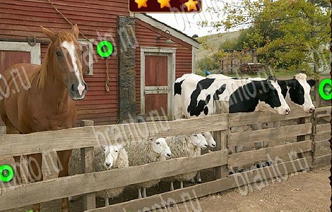 Лесной отряд ответы в картинках в контакте