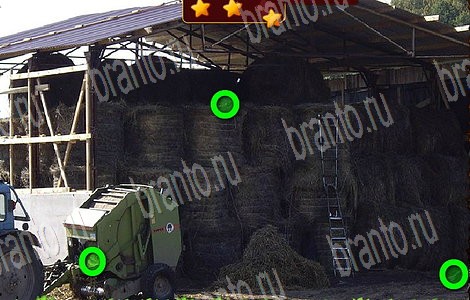 игра Лесной отряд ответы в одноклассниках