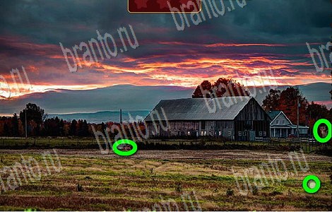 Лесной отряд игра ответы ВК