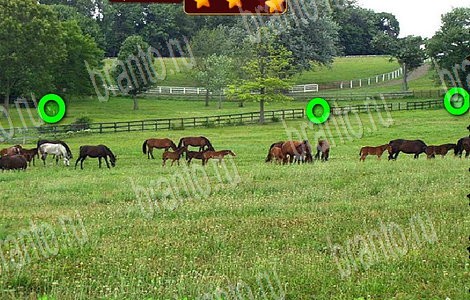 Игра Лесной отряд подсказки вконтакте