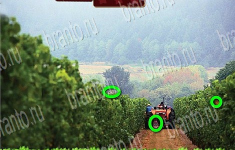 Игра Лесной отряд подсказки одноклассники