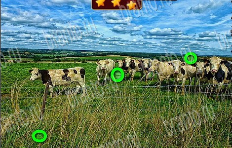 Подсказки на игру Лесной отряд