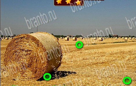 ответы на игру в одноклассниках Лесной отряд Уровень 53