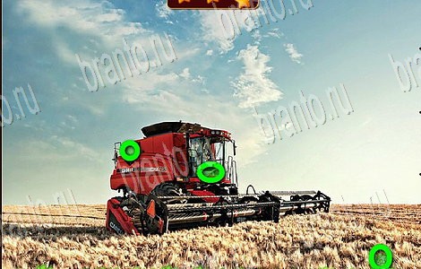 решебник на игру Лесной отряд