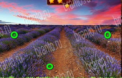 Лесной отряд игра из одноклассников решения