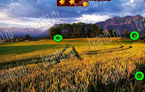 Лесной отряд игра в контакте ответы в картинках