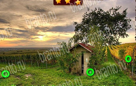 Игра Лесной отряд ответы вконтакте Уровень 60