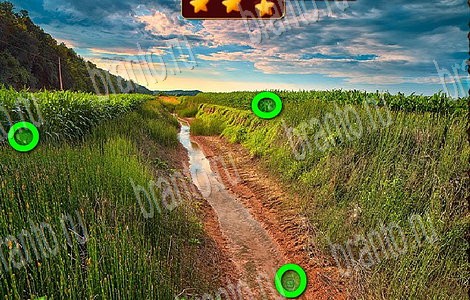 Игра Лесной отряд подсказки вконтакте