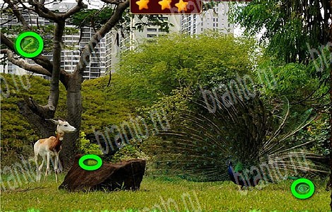 Помощь на игру ВК Лесной отряд