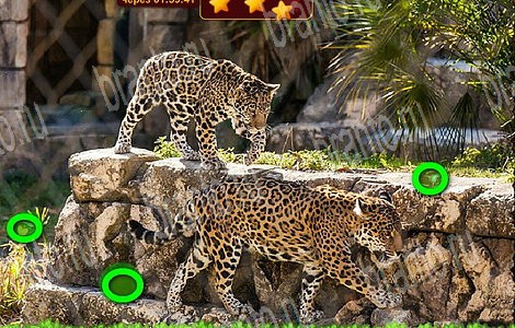 ответы к игре Лесной отряд