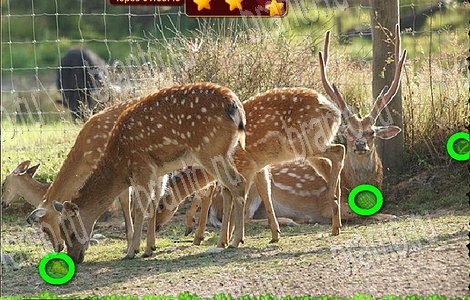 ответы на игру в одноклассниках Лесной отряд Уровень 63