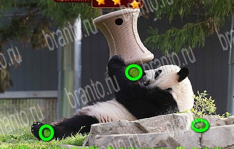 Одноклассники Лесной отряд ответы