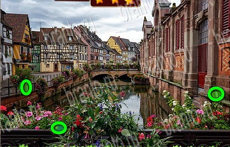 игра Лесной отряд разгадки, ответы на все задания