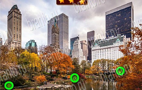 Лесной отряд игра подсказки