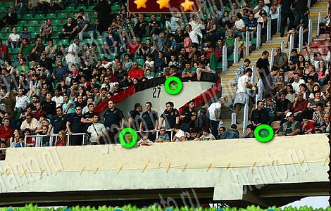 игра Лесной отряд ответы в одноклассниках