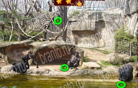 Лесной отряд игра ответы ВК