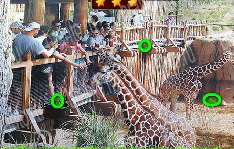 Лесной отряд игра подсказки Уровень 69