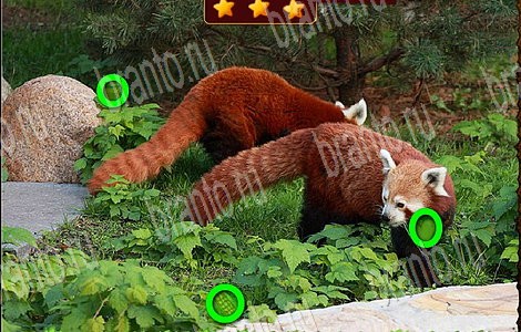 Лесной отряд игра помощь в контакте