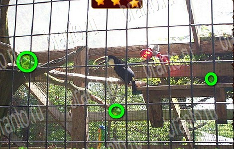 Подсказки на игру Лесной отряд