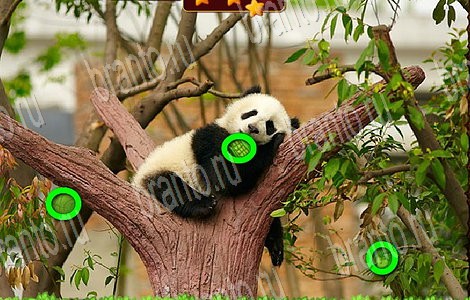 Лесной отряд ответы в картинках в контакте