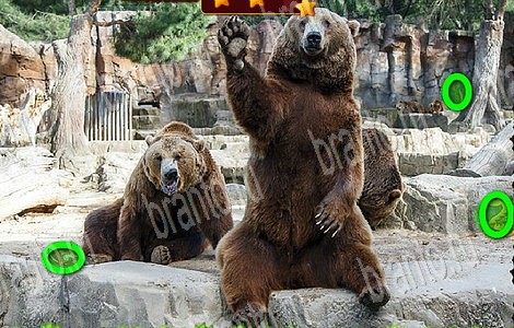 игра Лесной отряд помощь одноклассники