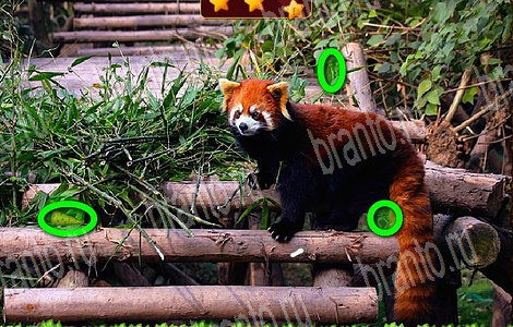 Лесной отряд игра помощь в контакте