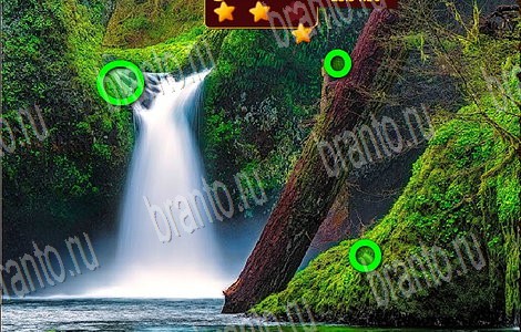 ответы к игре Лесной отряд