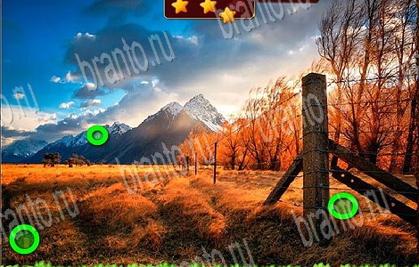 Лесной отряд игра ответы в одноклассниках