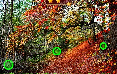 Одноклассники Лесной отряд ответы