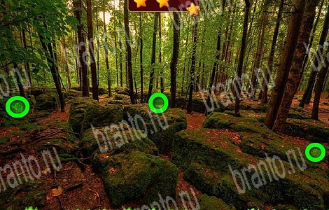 Лесной отряд решения Уровень 85