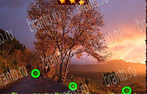 Лесной отряд игра ответы на все задания