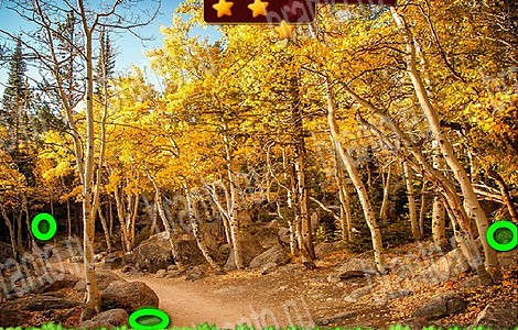 Лесной отряд игра подсказки