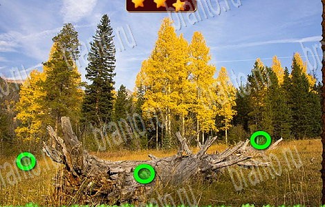 Игра Лесной отряд ответы одноклассники