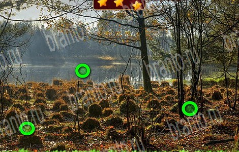 Лесной отряд игра подсказки Уровень 89