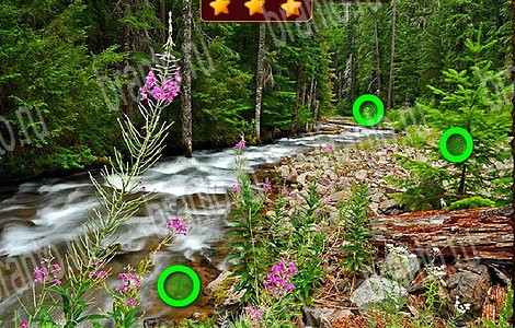 Игра Лесной отряд ответы вконтакте Уровень 90