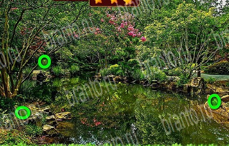 Игра Лесной отряд подсказки вконтакте