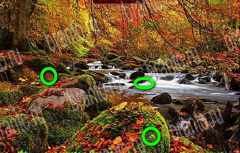 Подсказки на игру Лесной отряд