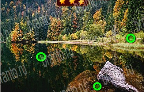 ответы к игре Лесной отряд