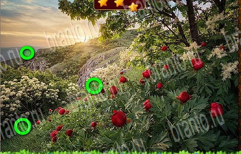 Лесной отряд подсказки в контакте Уровень 94