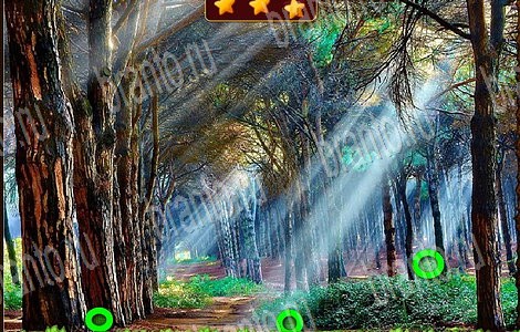 Лесной отряд игра подсказки