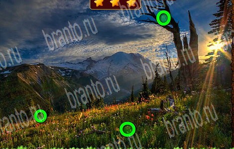 игра Лесной отряд ответы в одноклассниках