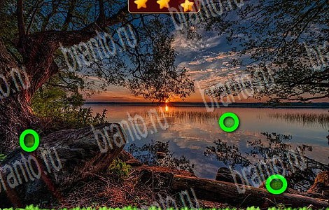 Лесной отряд игра ответы ВК