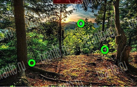 Лесной отряд игра помощь в контакте