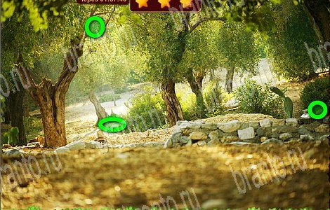 Игра Лесной отряд ответы вконтакте Уровень 100