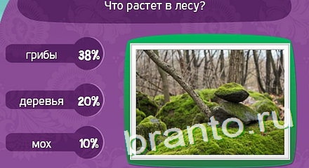 Подсказки на игру Матрёшка Уровень 42