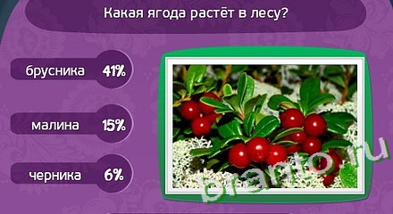 Матрёшка игра подсказки Уровень 174