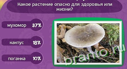 ответы на игру Матрёшка Уровень 193