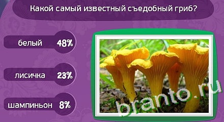 Решения на игру Матрёшка Уровень 243