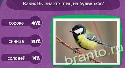 Игра Матрёшка ответы Уровень 257